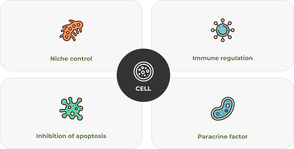 Living therapeutic agent - Cell