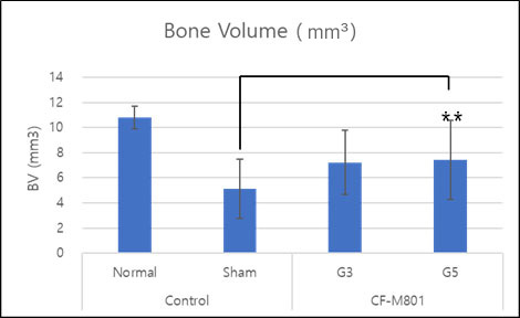 micro-CT Results