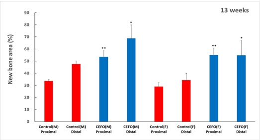 New Bone Area at 13 and 26 weeks after cell therapy agent transplantation