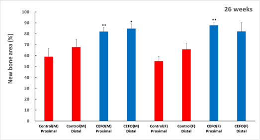 New Bone Area at 13 and 26 weeks after cell therapy agent transplantation