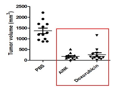 Anticancer Effect of AiNK (1.5X107cells, day1, day4, 2 times, IV injection) : Follow-up for 28 days