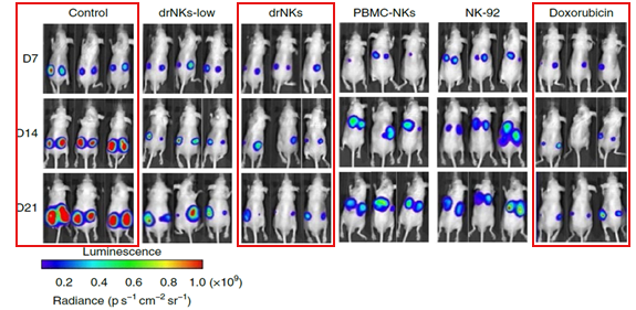 Kim HS et al., Nature Biomedical Engineering  2021 Aug 2