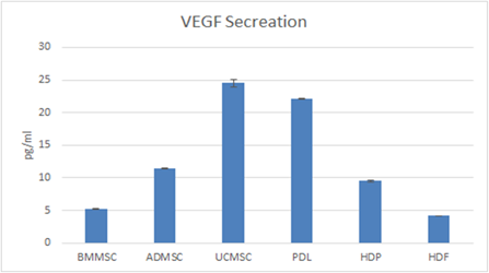 Level of VEGF expression in naive UC-MSC, CF-M801